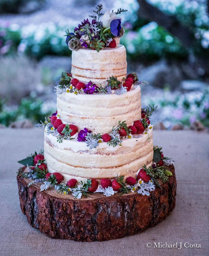 Check out these shots from real rustic, woodsy weddings to inspire your big day! Photo by California mountain wedding photographer Michael J Costa | Slashed Beauty