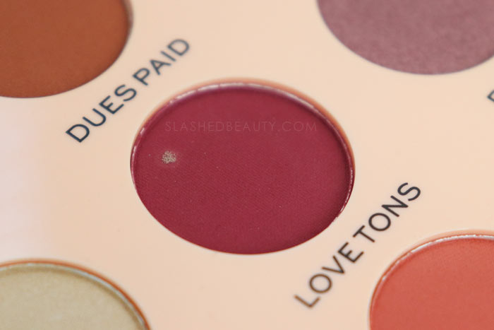 I found mold in Makeup Revolution x The Emily Edit The Wants Eyeshadow Palette shade Love Tons. | Slashed Beauty