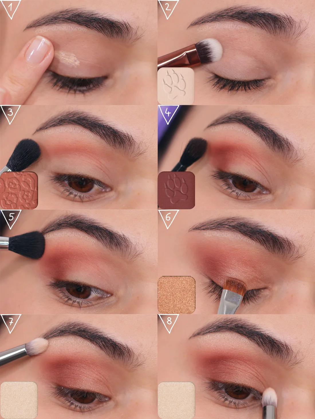 Step by step eyeshadow tutorial for beginners | Basic Eyeshadow Application for Makeup Beginners Tutorial | Slashed Beauty