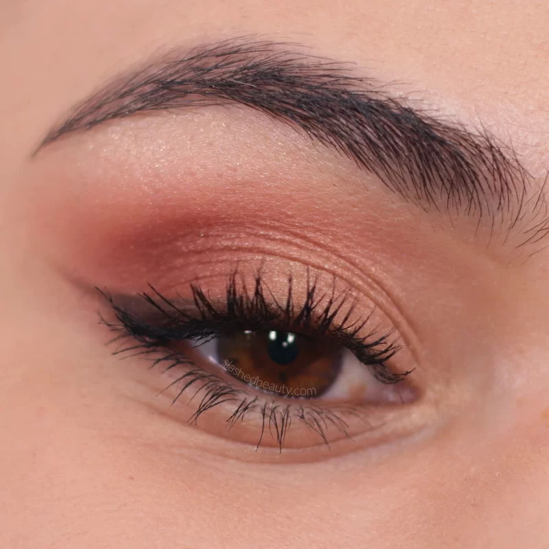 Basic Eyeshadow Application for Makeup Beginners Tutorial